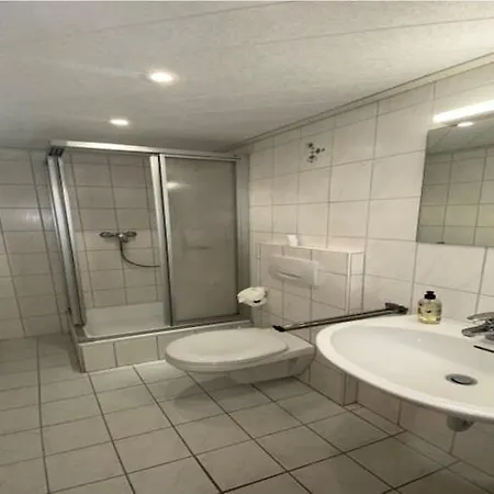 In Near Triberg Falls, Cleaning Included