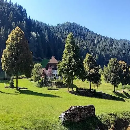 In Near Triberg Falls, Cleaning Included Хорнберг