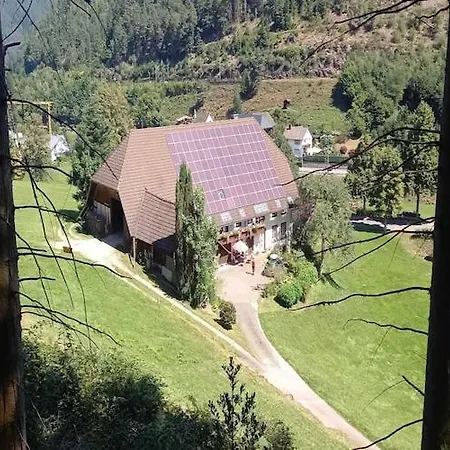 In Near Triberg Falls, Cleaning Included Апартаменты Хорнберг