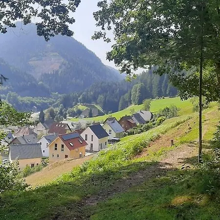 In Near Triberg Falls, Cleaning Included Hornberg