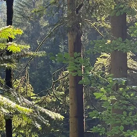 Apartmán In Near Triberg Falls, Cleaning Included *