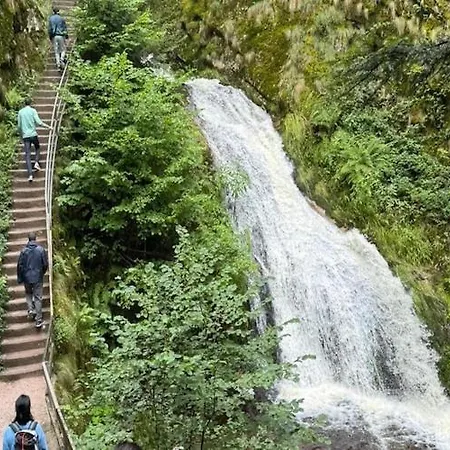In Near Triberg Falls, Cleaning Included * Hornberg