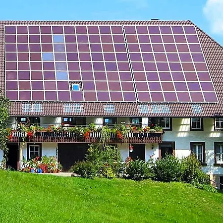 Apartamento In Near Triberg Falls, Cleaning Included