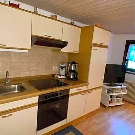In Near Triberg Falls, Cleaning Included Apartamento Hornberg
