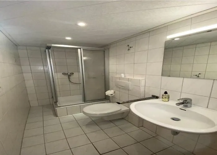 In Near Triberg Falls, Cleaning Included